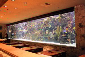 Aquarium casino