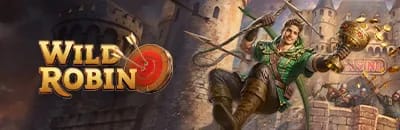 Jouer sur Wild Robin